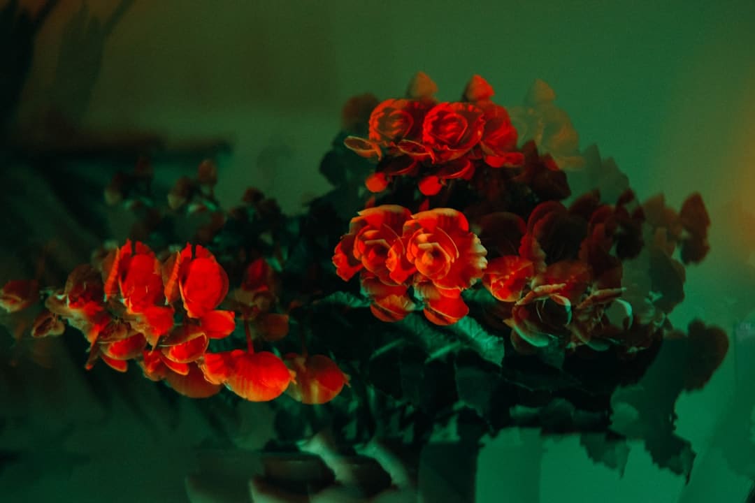 http://upload.mnw.cn/2025/0827/1756292823233.jpg